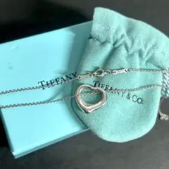 オールド ティファニー ホルン ネックレス ラッパ 巻貝 STERLING