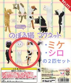 ぴの様 リクエスト 2点 まとめ商品