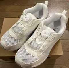 Item thumbnail for item 24a34b17-2b23-4362-be25-e899eb407467