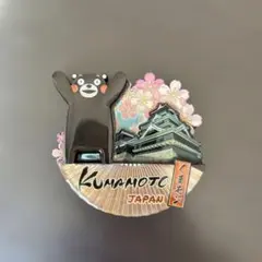 Item thumbnail for item 176fc474-1553-4c97-a243-6c5a8b29274d