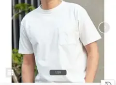 Golden Bear GB天竺Tシャツ ホワイト Mサイズのサムネイル