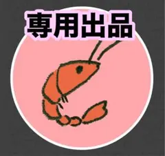 専用出品