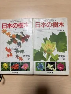 Item thumbnail for item 7a90f762-65d5-4dc2-aff8-7ad127ea6306