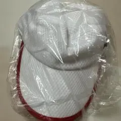 Item thumbnail for item fba0084a-ee50-40c4-80ed-1c4511306b75