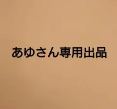 【あゆさん専用】