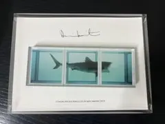 damien hirst 韓国 現代美術館 図録 マグネット ダミアンハースト