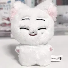 10cm ENHYPEN ソヌ SUNOO ぬいぐるみ本体④ - メルカリ