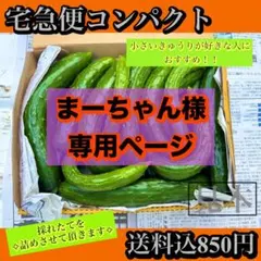 まーちゃん様専用ページ8/17発送