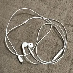 アルコール除菌済みEarPods (USB-C) 有線イヤホン