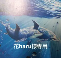 花haru様専用