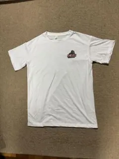 レディース　エクストララージ　Tシャツ　Lのサムネイル