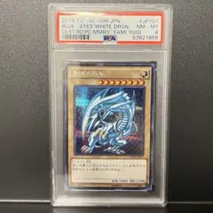 青眼の白龍 シークレットレア psa8 ブルーアイズ 15AX-JPY07 鑑定