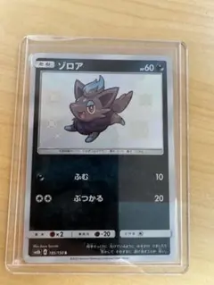 1926.【美品】ポケモンカード ゾロアS 色違い sm8b 185/150 - メルカリ