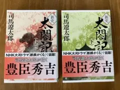 新史 太閤記 上下巻セット