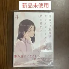 Item thumbnail for item e961e803-e0a5-4953-8a84-928bfb3dd96a