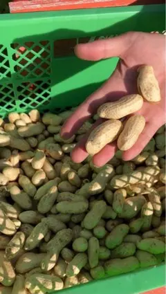 【ともさん専用】