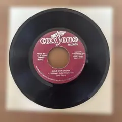 L.Sibbles / John Holt ー BUILD OUR DREAM