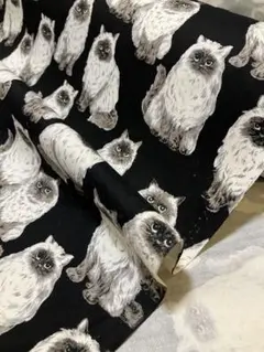 2m 国産　猫柄　黒　オックス生地　ハギレ　生地