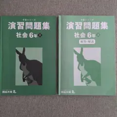 演習問題集 6年上 社会 四谷大塚　早稲アカ　予習シリーズ　組分けテスト