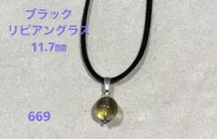 ブラックリビアングラス(669)