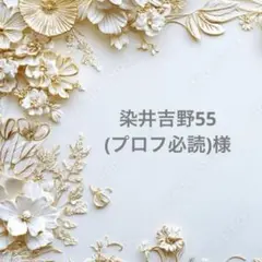 染井吉野55(プロフ必読)様 ポケットティッシュケース