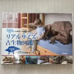 アボカド様 リクエスト 3点 まとめ商品