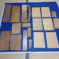 Item thumbnail for item 7170ed55-06c5-4e32-a2bc-dbdffda76370