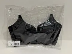 Item thumbnail for item 3c9a2774-da20-422e-a46c-6b3c47a88a07