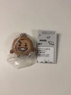 BTS BT21 フォトフレームマスコット SHOOKY