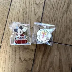 ディズニーリゾート　ミッキー ピンバッジ　アクアトピア