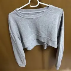 DAZY グレー クロップドセーター S