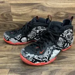 中古 Nike Air Foamposite One