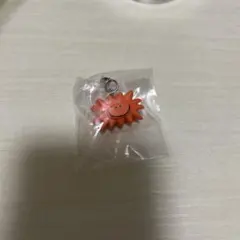 DaisukeKondo ダイスケコンドウ めじるしアクセサリー taiyo