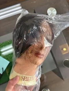 Item thumbnail for item 95d66113-9f65-4fe4-94fc-2018651a7f25