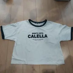 Candy Blue 半袖Tシャツ 160cm
