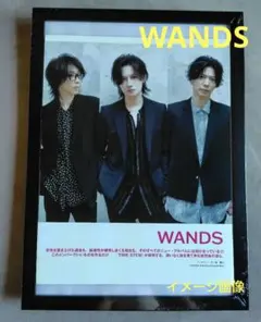 2025年最新】WANDS 写真の人気アイテム - メルカリ