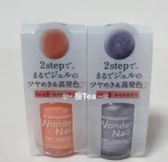 pa ワンダーネイル ディアローラ 2本セット 3COINS スリーコインズ