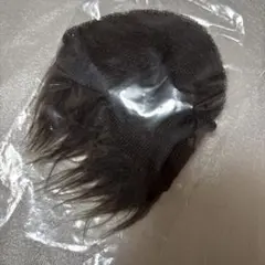 Item thumbnail for item 562fba4e-f4c1-4532-bf27-a1e1d5e4e7ca