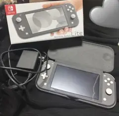 Nintendo Switch Lite グレー　専用ケース付き