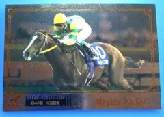 マヤノトップガン第40回有馬記念THEGRADEONE20世紀の名馬(15位)