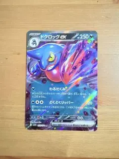 まとめ買い割引 ドクロッグexのサムネイル