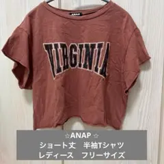 ANAP ショート丈　半袖Tシャツ ロゴプリント　オレンジ　フリーサイズ