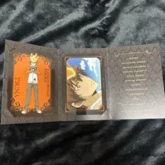 家庭教師ヒットマンREBORN! イラストシートコレクション 沢田綱吉 ツナ