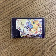 【新品】ポケモンフレンダ　カイリュー