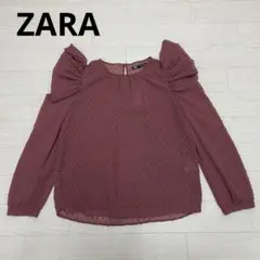 ZARA　ザラ 長袖カットソー　ブラウス シアー素材