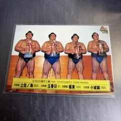 2026年最新】大相撲カード 97の人気アイテム - メルカリ