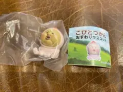 こびとづかん　おすわりマスコット　カクレモモジリ ❷