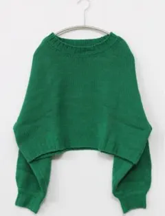 Lian グリーン クロップドニット フリーサイズ