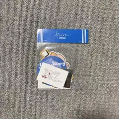 ヤングスキニー ステッカー 詰めました。　セット