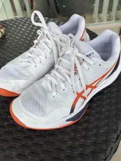 Item thumbnail for item 8a8c9246-82b1-4adf-b27e-641c0fce1fa2